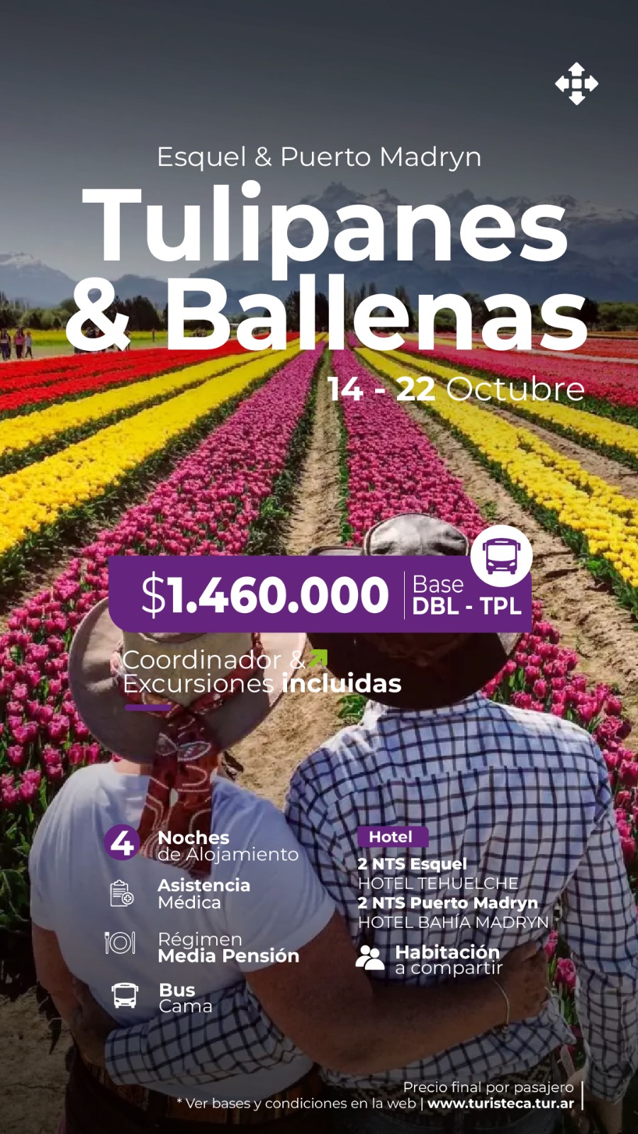 TUL Y BALLENAS - 14 Y 22 OCT