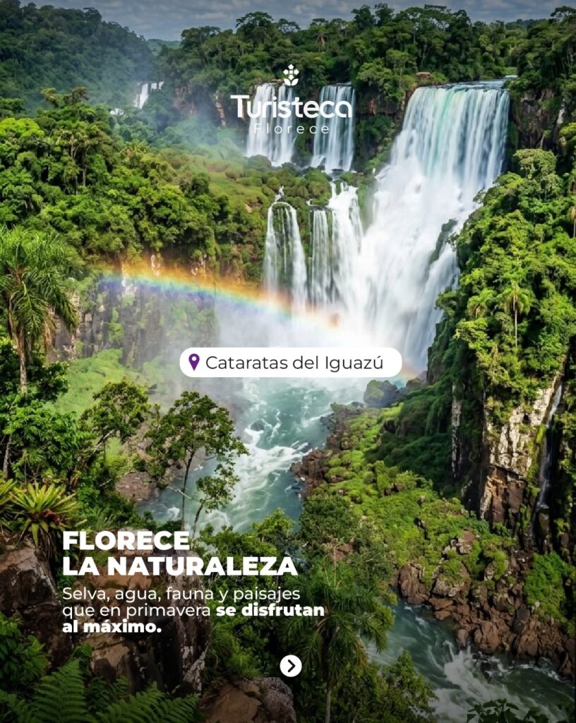 Cataratas Del Iguazú