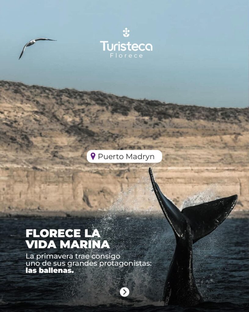 Puerto Madryn