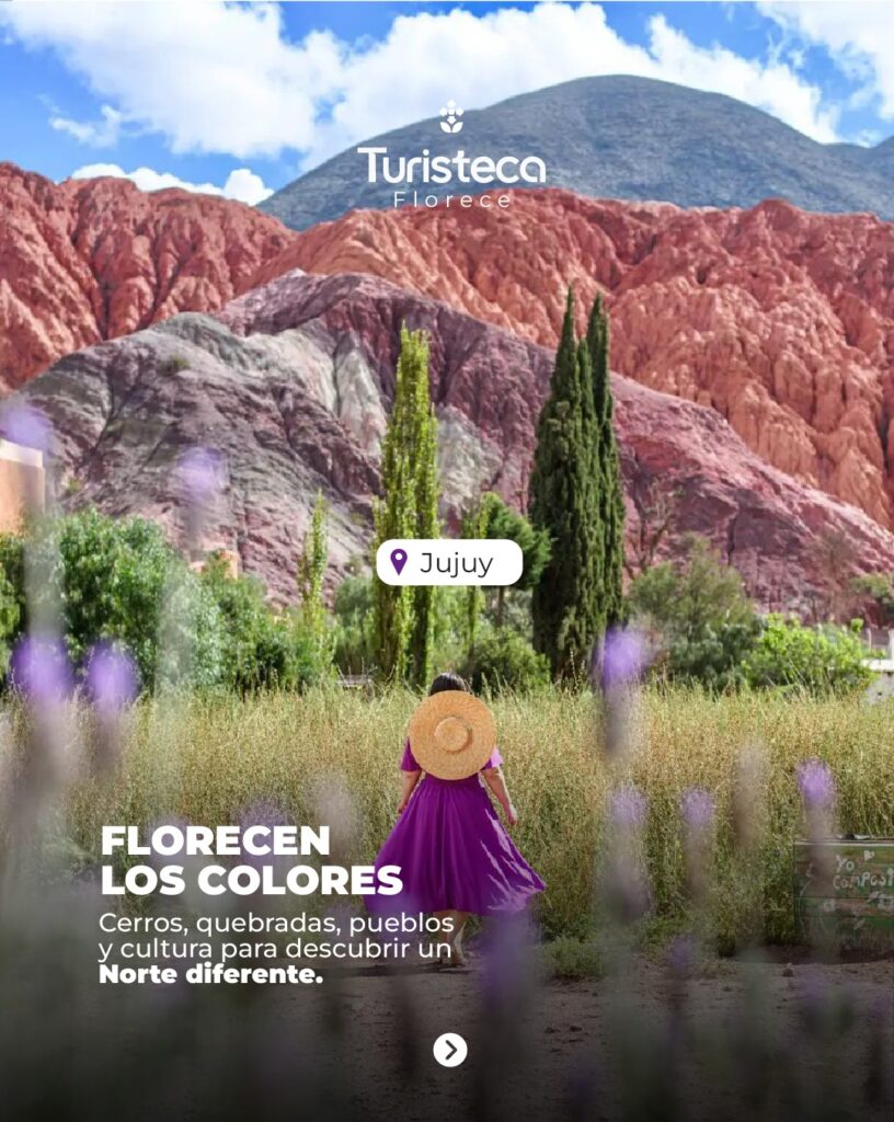 Jujuy con Tren Solar Aéreo